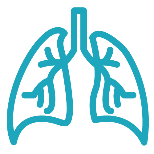 Pulmonology